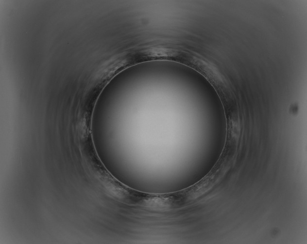 X0000091640422200708231203