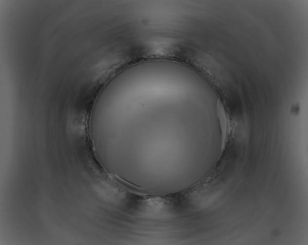 X0000091640423200708231203
