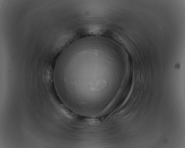 X0000091640424200708231203
