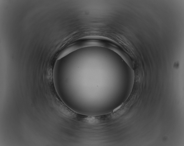 X0000091640425200708231203
