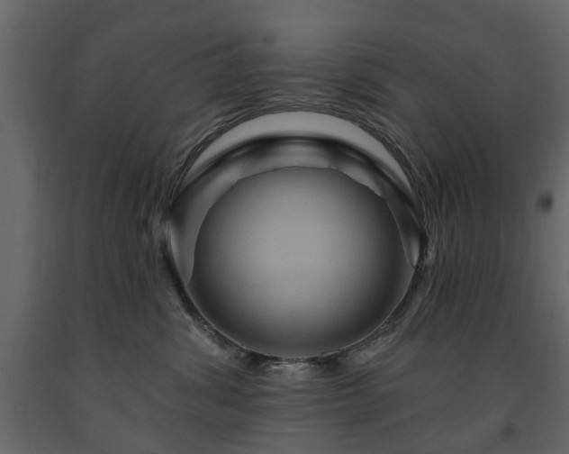 X0000091640428200708231203