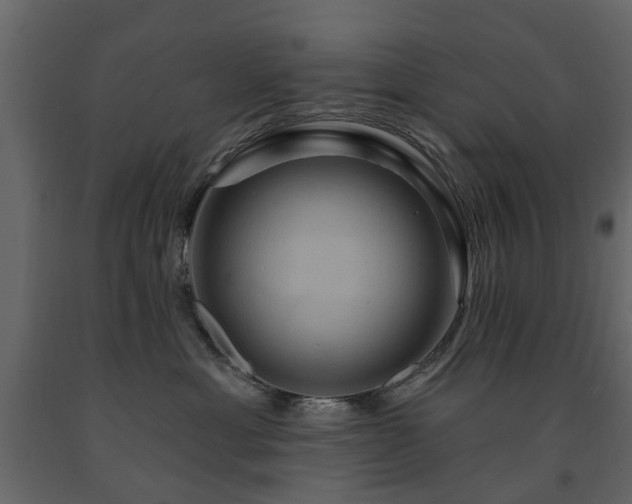 X0000091640429200708231203