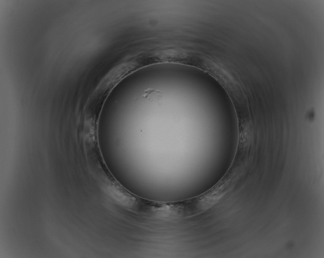 X0000091640430200708231202