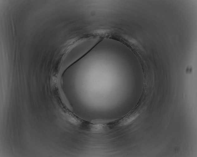X0000091640432200708231202