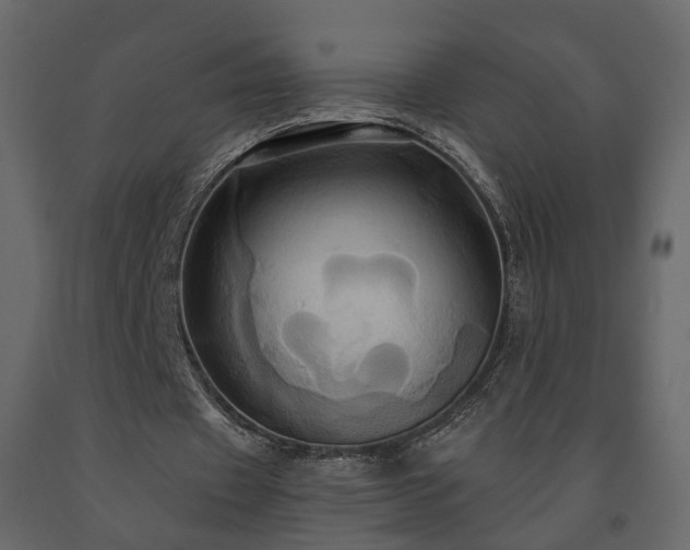 X0000091640433200708231202