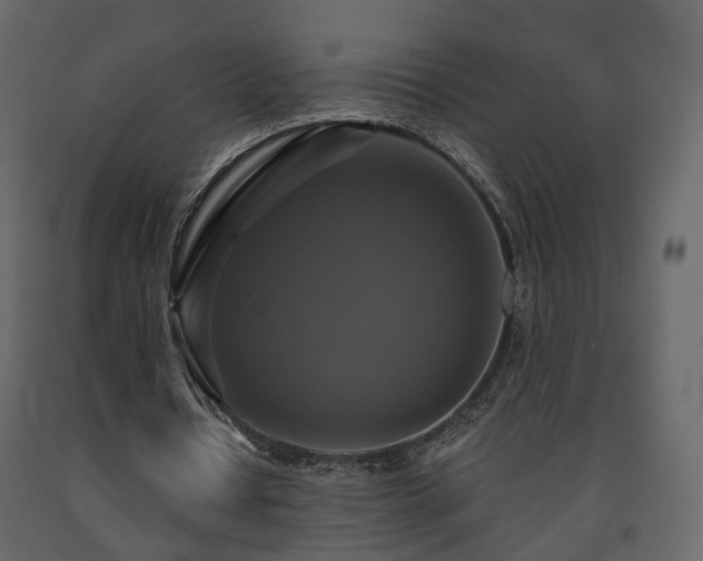 X0000091640434200708231202