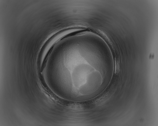 X0000091640435200708231202