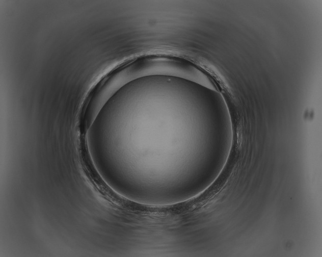 X0000091640436200708231202