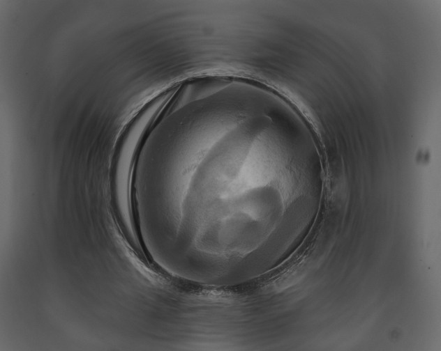 X0000091640437200708231202