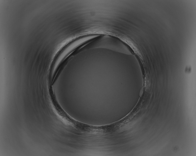 X0000091640438200708231202
