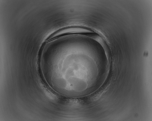 X0000091640439200708231202