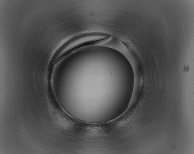 X0000091640440200708231202