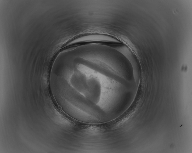 X0000091640441200708231202