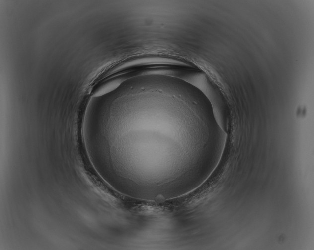 X0000091640442200708231202