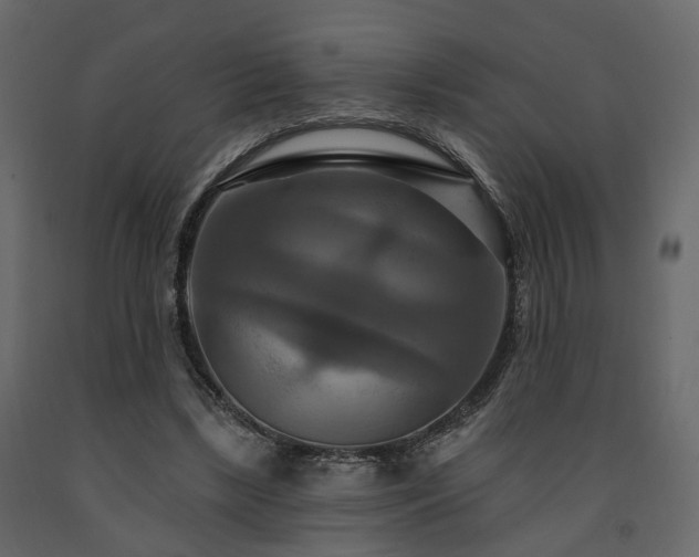X0000091640443200708231202