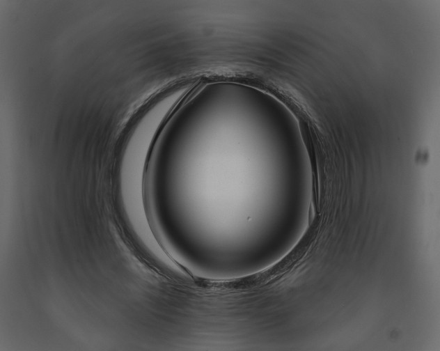 X0000091640444200708231202