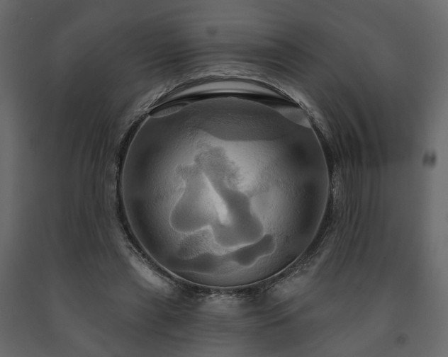 X0000091640445200708231202