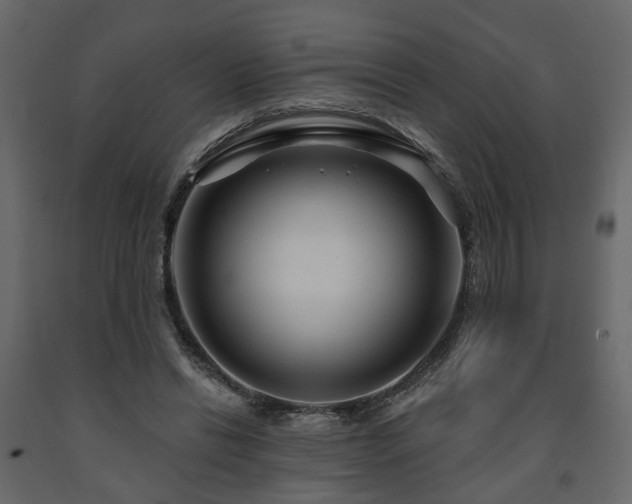 X0000091640446200708231202