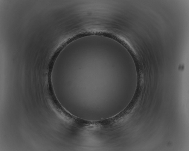 X0000091640447200708231202