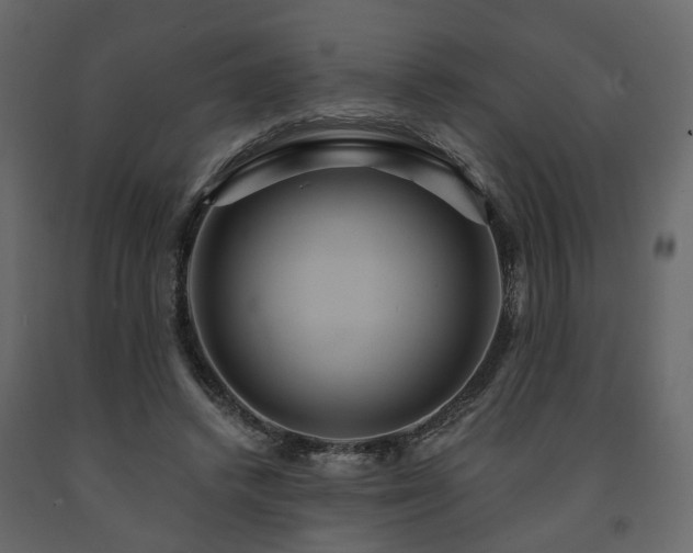 X0000091640448200708231202
