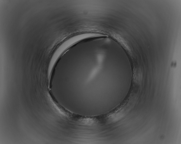 X0000091640449200708231202