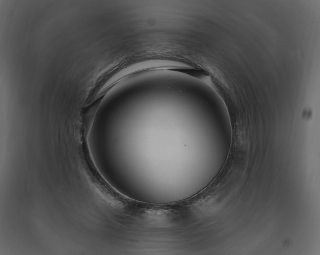 X0000091640450200708231202