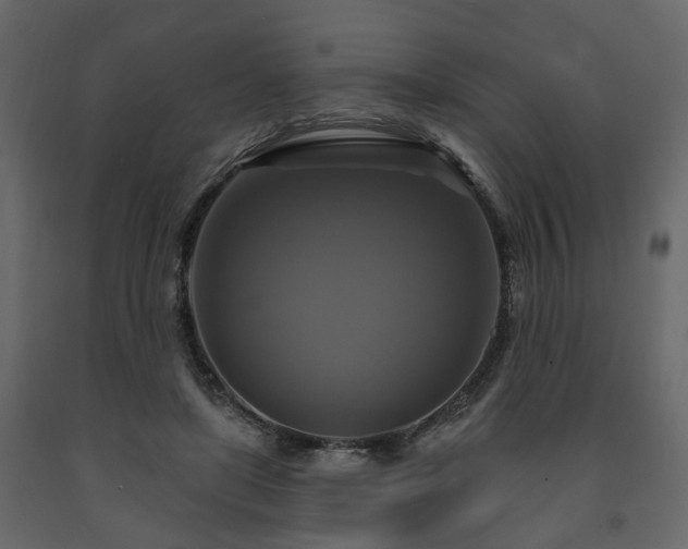 X0000091640451200708231202