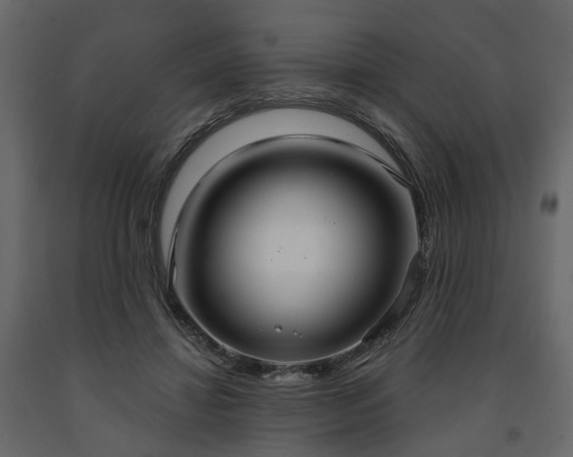 X0000091640452200708231202