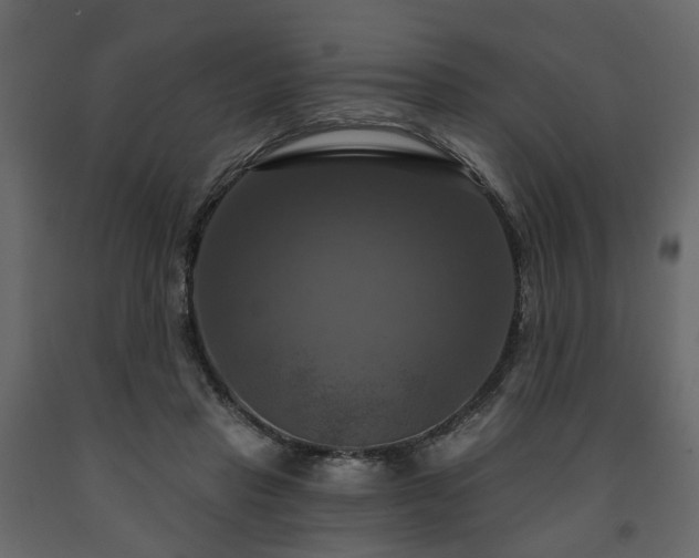 X0000091640453200708231202