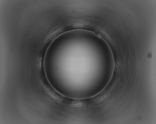 X0000091640454200708231202