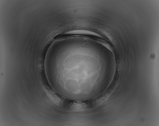 X0000091640455200708231202