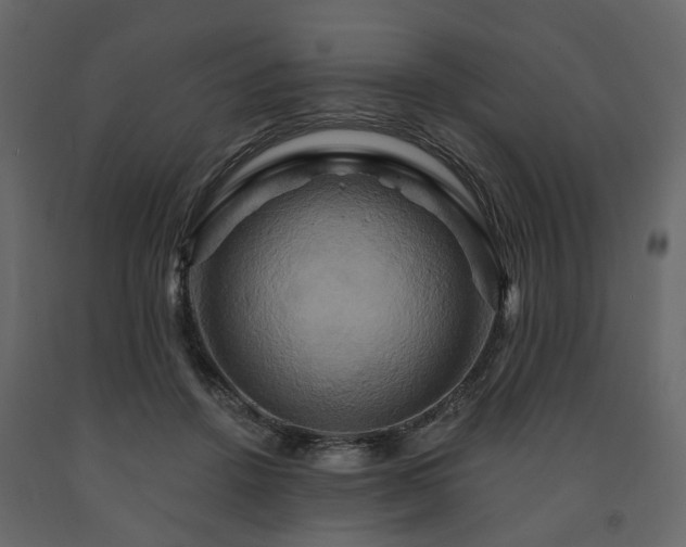 X0000091640456200708231202