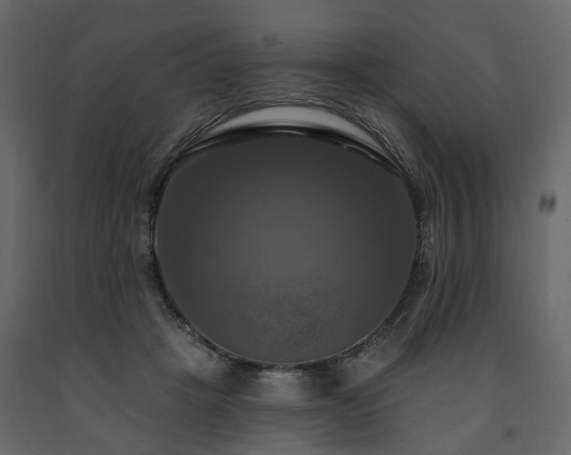 X0000091640457200708231202