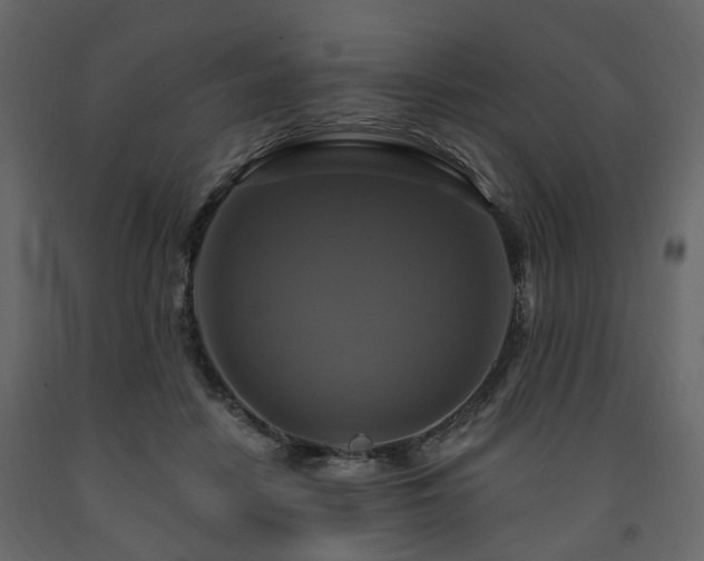 X0000091640458200708231202