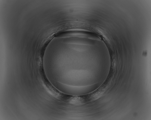 X0000091640459200708231202