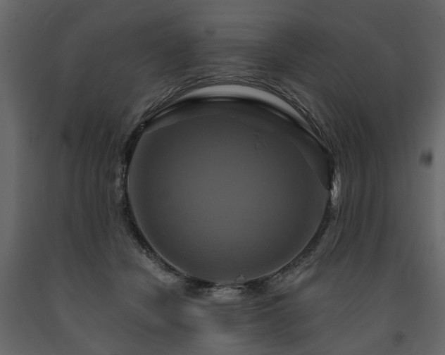 X0000091640462200708231202