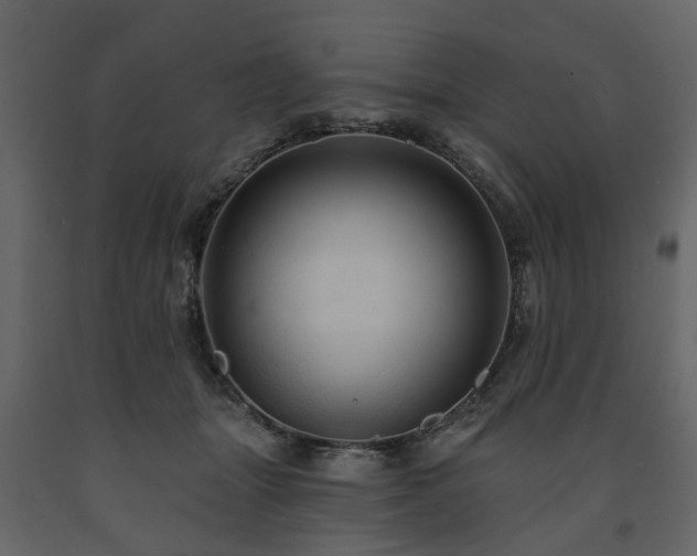 X0000091640463200708231202