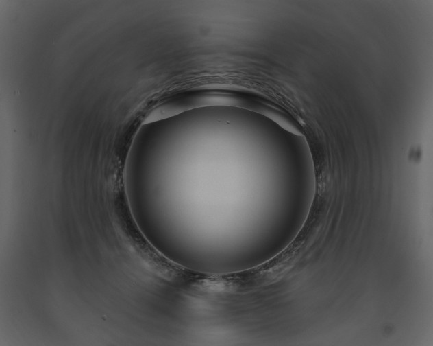 X0000091640464200708231202