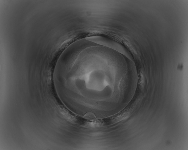 X0000091640466200708231202
