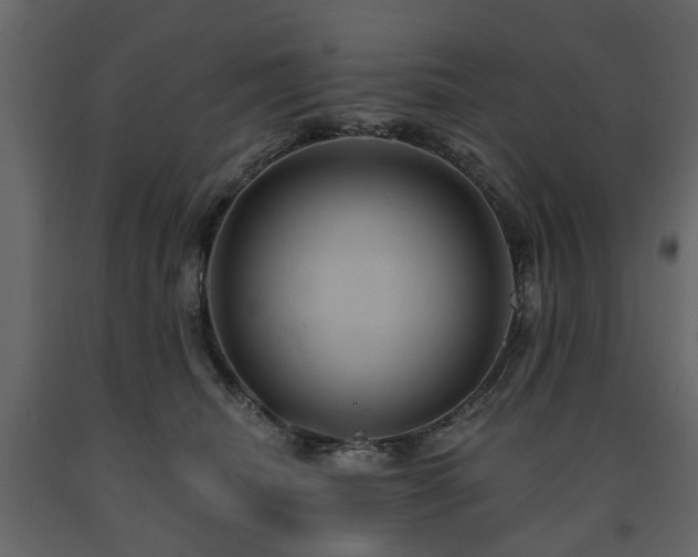 X0000091640468200708231202