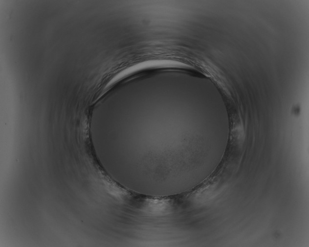 X0000091640469200708231202