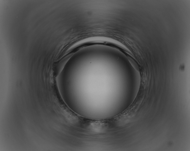 X0000091640470200708231202