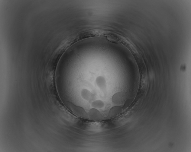 X0000091640473200708231202