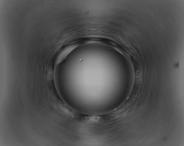 X0000091640474200708231202