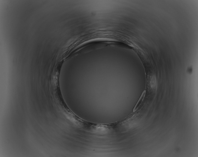 X0000091640475200708231202