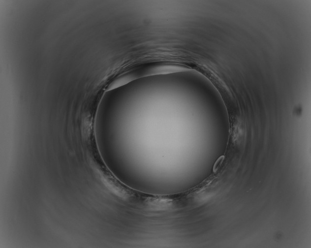 X0000091640476200708231202