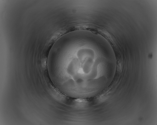 X0000091640477200708231202