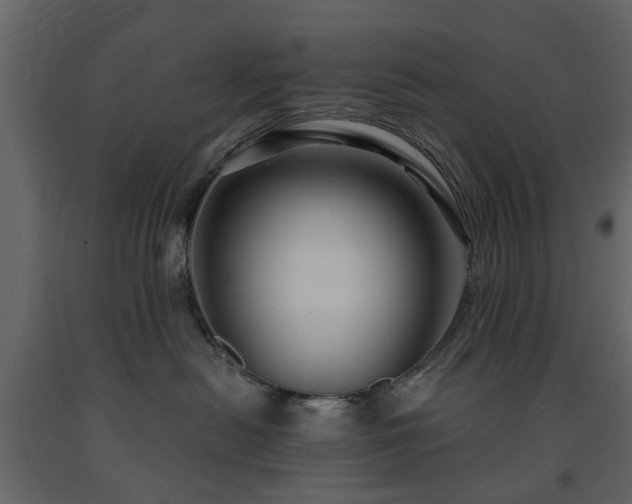X0000091640478200708231202