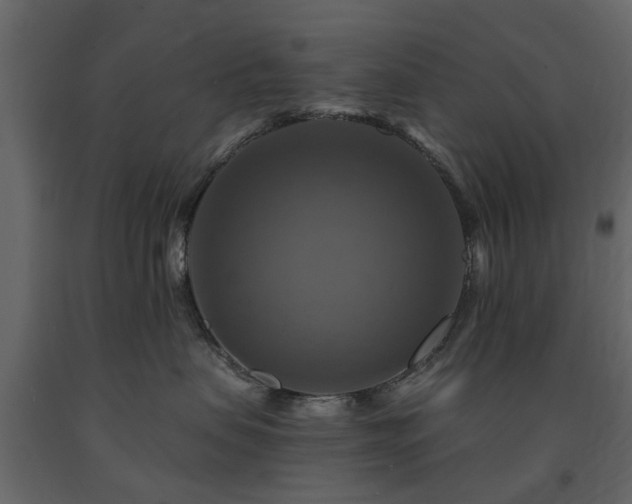 X0000091640479200708231202