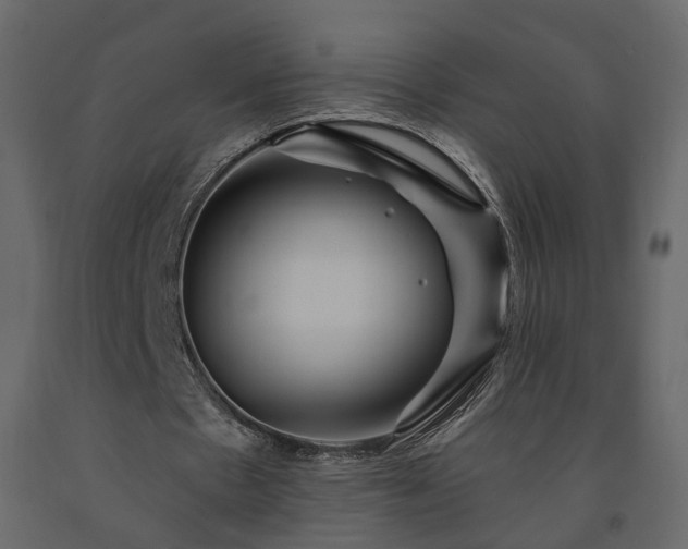 X0000091640481200708231202